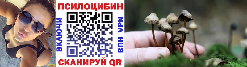 Псилоцибиновые грибы Magic Shrooms  Купить  Верхняя Пышма 