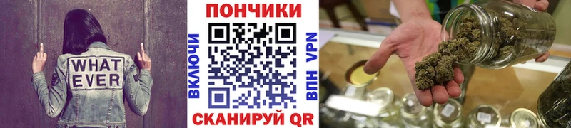 Купить закладки  Верхняя Пышма  Конопля Amnesia 